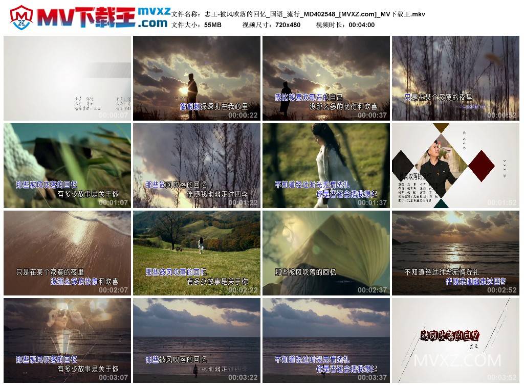 志王-被风吹落的回忆_国语_流行_MD402548